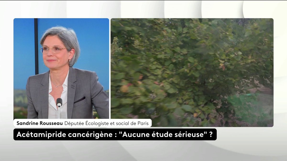 🔴 🗣️ Acétamipride : "Il faut absolument interdire ce pesticide au nom du principe de précaution", assure la député Sandrine Rousseau. "Au nom de quoi prendrions-nous ces risques-là ?" #ToutEstPolitique #Canal16