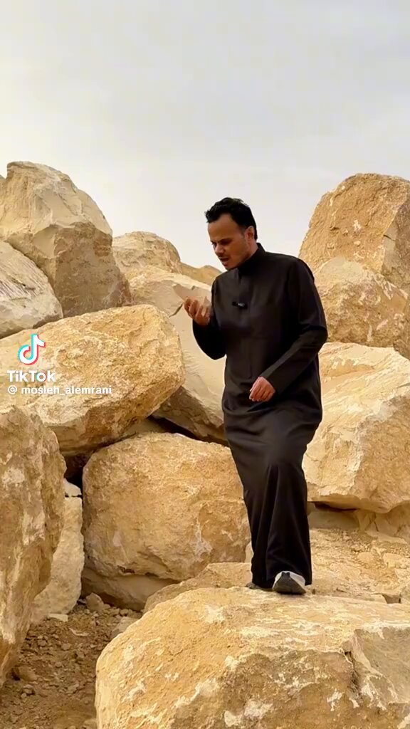ما السبب الذي يجعل شخص قد يلحس حجر وليش تعتبر كنز؟ تقرير سريع وجميل من المهندس مصلح العمراني