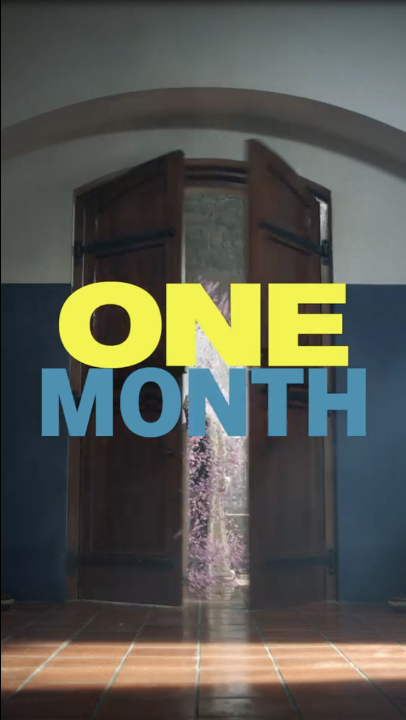 The countdown begins. One month. ONE PIECE: INTO THE GRAND LINE