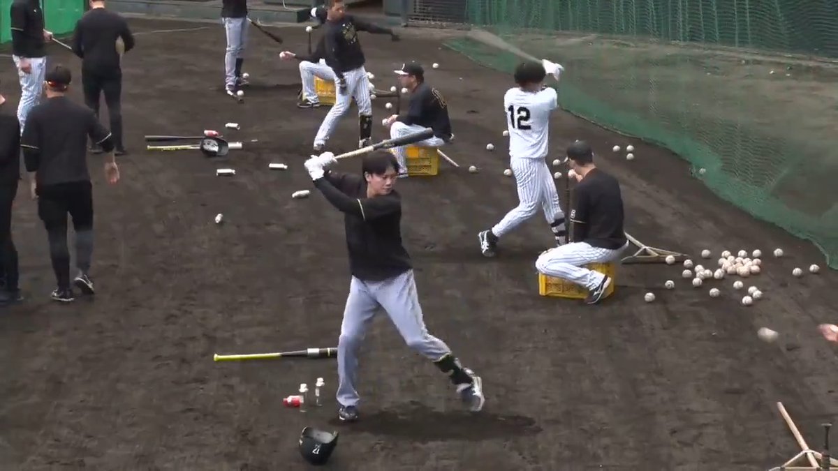 【宜野座】 第3クール1日目！今日は紅白戦があります！まずは捕手陣が打撃練習！ #hanshin #虎テレ #阪神タイガース #熱覇 虎テレでは春季キャンプをライブ配信