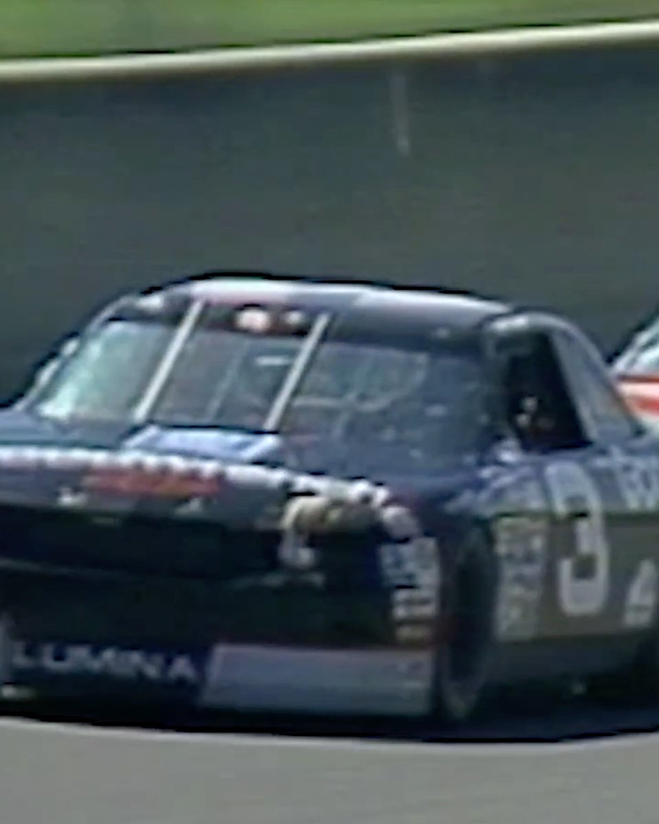 Did that really happen?! A bizarre seagull strike in the 1991 #DAYTONA500 was one of many moments that denied Dale Earnhardt a Great American Race win.