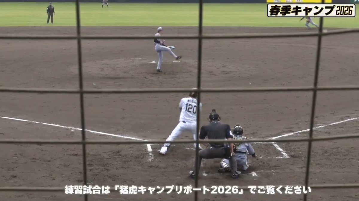 【宜野座】 今季から野手に転向の西純選手がクリーンヒットを放つ！ #hanshin #虎テレ #阪神タイガース #熱覇 虎テレでは春季キャンプをライブ配信
