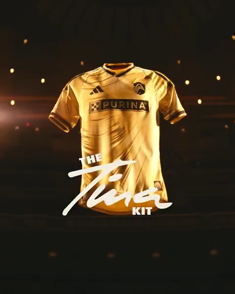 A beacon of power. A legend of STL. An inspiration for us all to be simply our best. Get The Tina Kit now at City Foundry, CITY Pavilion or