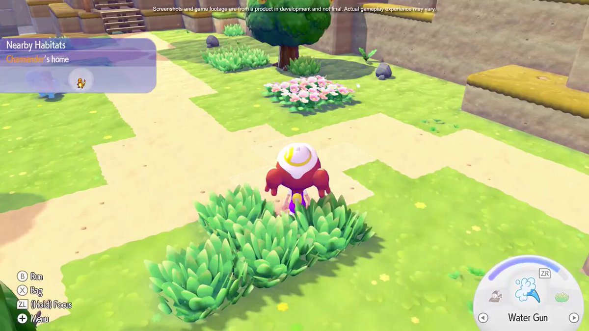 Vídeo del encuentro con Pidgey y Combee en Pokémon Pokopia