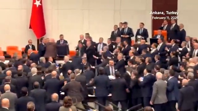 A brawl broke out in Turkey's parliament as opposition lawmakers tried to block Justice Minister Akin Gurlek from taking his oath following his controversial appointment