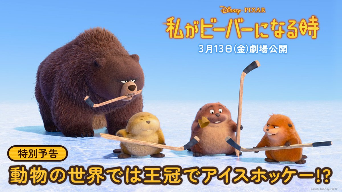 🦫“クセありビーバーズ”とクマのエレン🐻 《動物の世界》では パックではなくキング・ジョージの王冠で アイスホッケー✨ 🏒💥────👑──💥🏒 🟡『私がビーバーになる時』🟡 →「わたビバ」は 3/13（金）劇場公開
