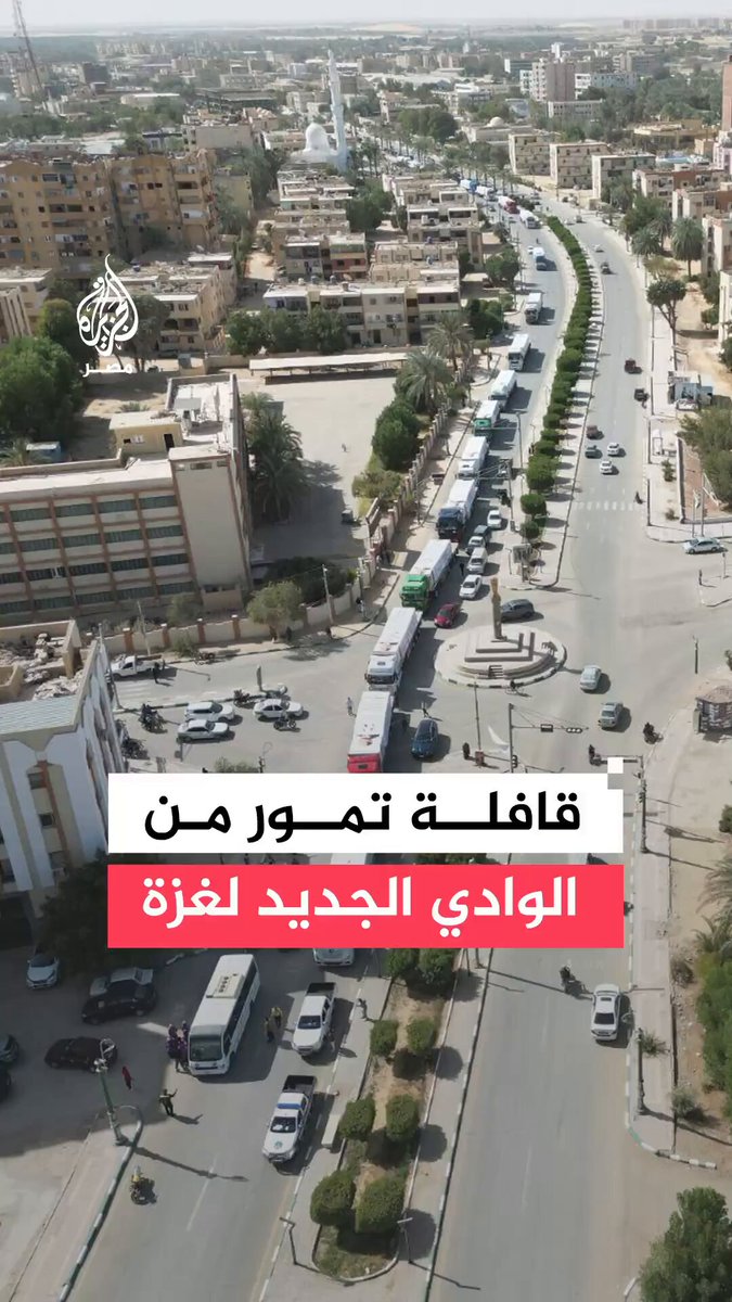 450 طن تمور.. الوادي الجديد تسيّر ثاني قوافلها الإغاثية إلى #غزة وسط احتفاء رسمي وشعبي واسع