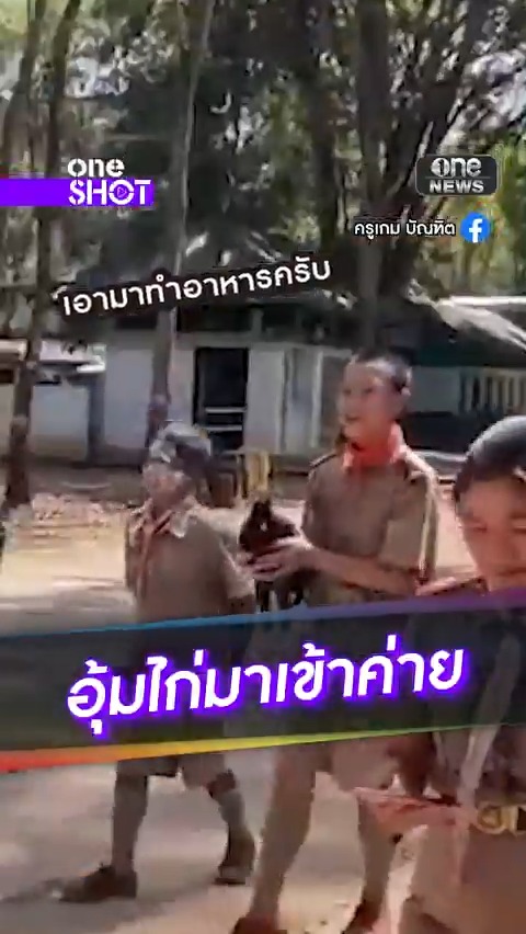 นักเรียนโคราช เข้าค่ายลูกเสืออุ้มไก่ตัวเป็นๆ มาทำอาหาร ครูเห็นรีบซื้อไก่สดมาไถ่ชีวิต ก่อนเอาไปเลี้ยงต่อ #oneShot #สำนักข่าววันนิวส์