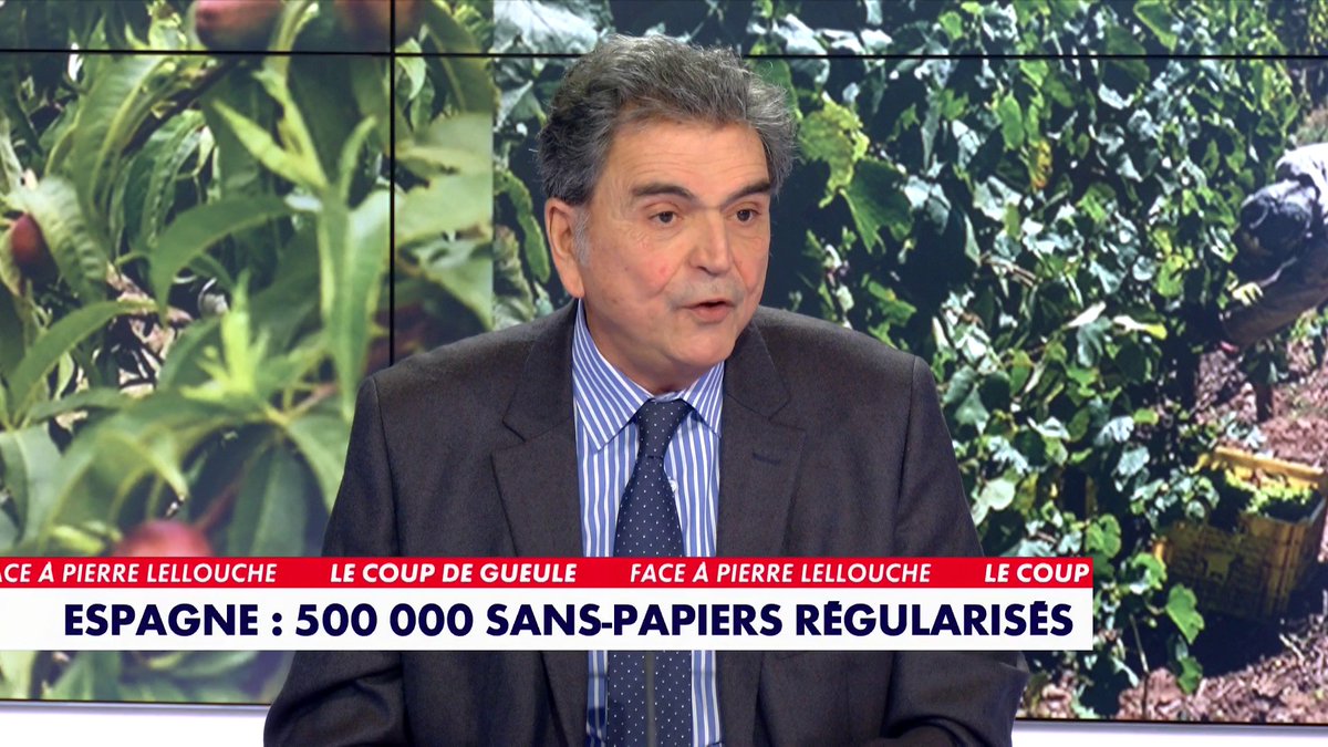 «Tous ces migrants vont pouvoir se balader partout en Europe, et naturellement finir en France où l'aide sociale et médicale est bien plus généreuse», estime l'ancien ministre, Pierre Lellouche, dans #FaceAPierreLellouche