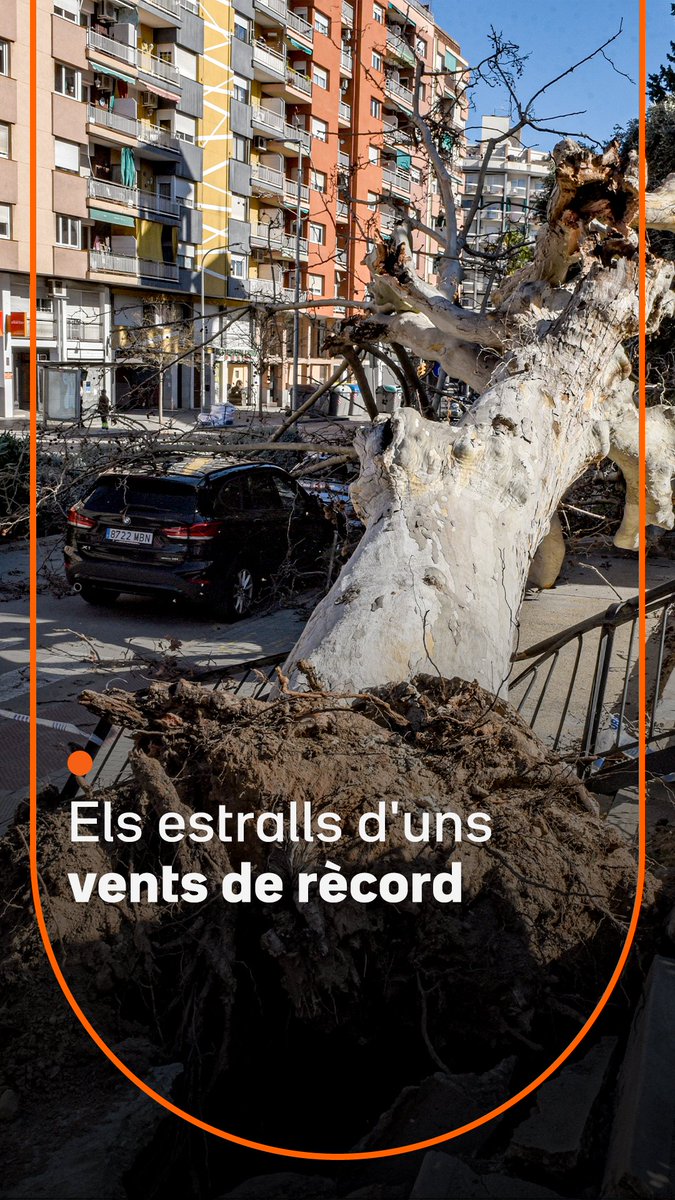 Arbres caiguts, cotxes aixafats, carrers buits i alguns incendis. La ventada per la borrasca Nils, amb vents extrems, ha deixat més de trenta ferits, quatre de greus i dos de crítics.