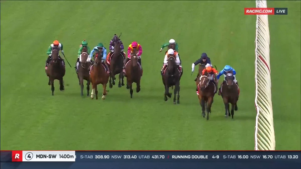 【海外競馬】 ゴール入線後に故意に馬をぶつけに行ったとして、🇦🇺豪州のL.ノレン騎手(水色の勝負服)が開催日24日間の騎乗停止に。ブラックキャビアなどの主戦を務めたスタージョッキー。 🎥 Racing.com