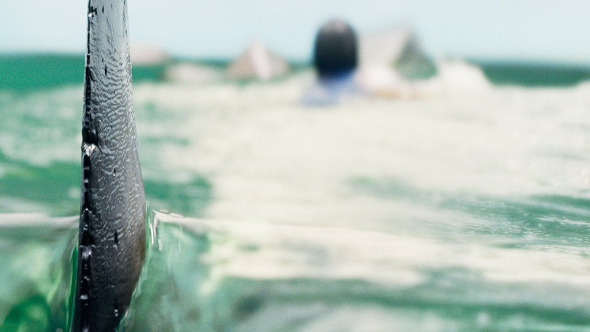 The director of Deep Blue Sea returns to the deep with shark attack movie DEEP WATER starring Aaron Eckhart and Ben Kingsley. Only in theaters May 1. 🦈