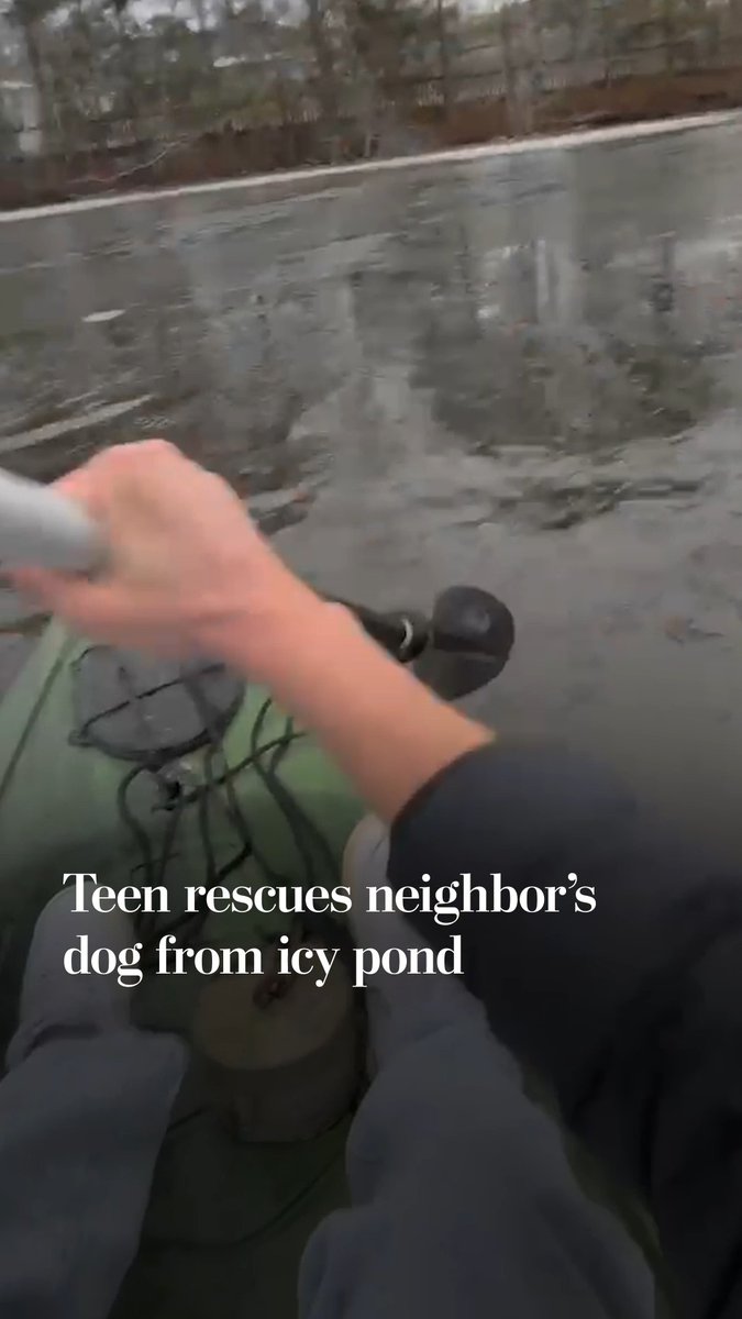 “I’m here buddy,” Hugh Pinneo, 18, said to a struggling dog as he rescued him from a partially frozen pond. “You’re scared, I’m scared, too.”