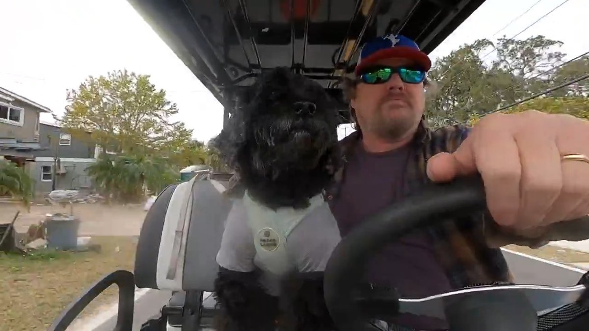I don't do emotional posts, but Lexi broke me. I was lucky to have her for nearly 11 years, but all good things end. We're going on one more long golf cart ride before the vet tells us if it's time. If you're the type who never cries, a dog like Lexi can teach you how.