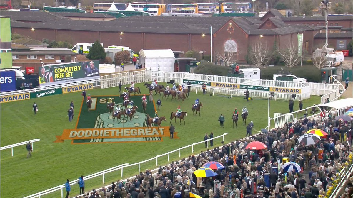 Last year at Cheltenham this happened… 25/1. Each-way. Pertemps Final. Not luck. Preparation. The Festival rewards those who do the work early. Back in the lab again for 2026 👀