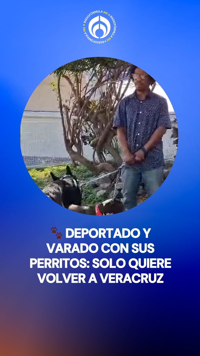 💔Lo deportaron, pero jamás dejó atrás a sus tres perritos 🐾. Ahora está varado y una de sus lomitas tiene cáncer. Solo quiere volver a Veracruz con ellos. 🏠