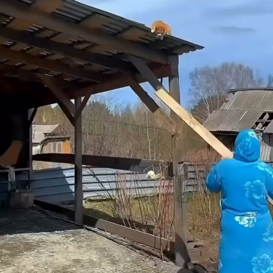 A flawless rescue operation. 🚨