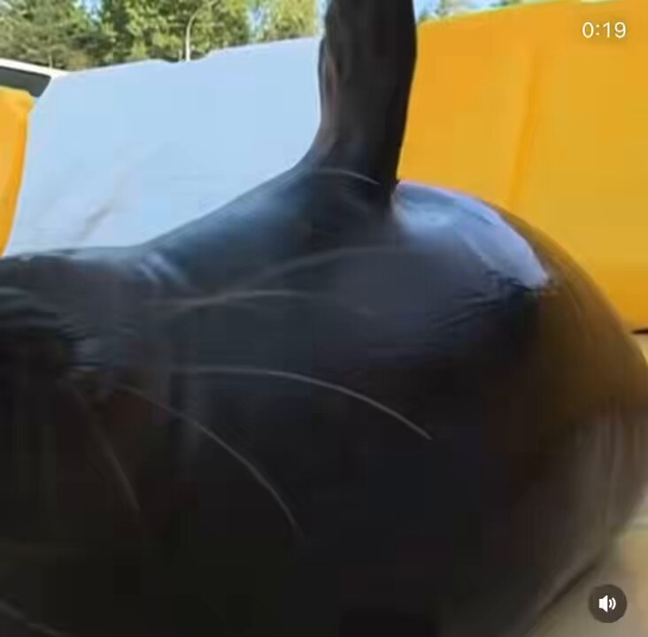 hits you a few times and then makes an awesome, yet efficient, get away