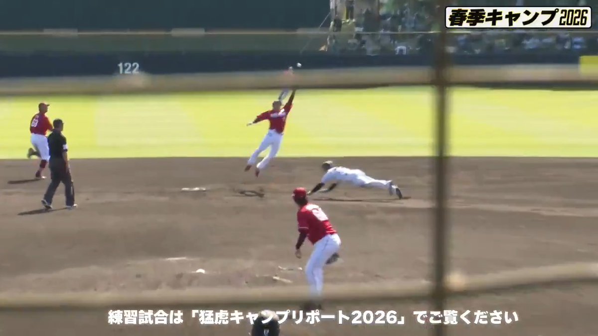 【宜野座】 代走の福島選手は頭から滑り込みスチール成功！果敢にアピールします！ 虎テレでは春季キャンプをライブ配信