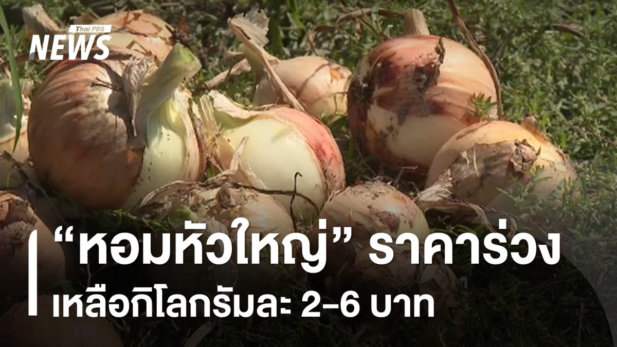 หอมหัวใหญ่ ราคาตกหนักเหลือเพียงกิโลกรัมละ 2-6 บาท จากต้นทุนการปลูกที่กิโลกรัมละ 9-10 บาท ทำให้หลายคนต้องขาดทุนอย่างหนัก ประธานสหกรณ์ผู้ปลูกหอมหัวใหญ่เชื่อว่า สาเหตุเป็นเพราะการนำเข้าหอมหัวใหญ่ราคาถูกจากประเทศเพื่อนบ้านและประเทศจีน #หอมหัวใหญ่ #ราคาร่วง #ราคาหอมหัวใหญ่ #ข่าวไทยพีบีเอส #ข่าวที่คุณวางใจ #ThaiPBSnews #ThaiPBS
