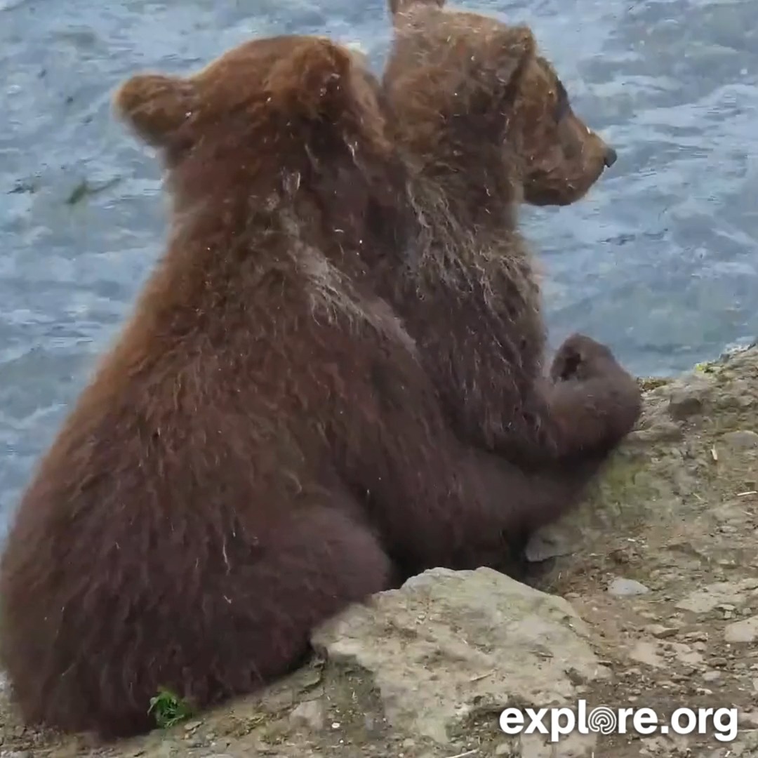 Happy Valentine's Day, explorers! We hope you're snuggling someone you love.