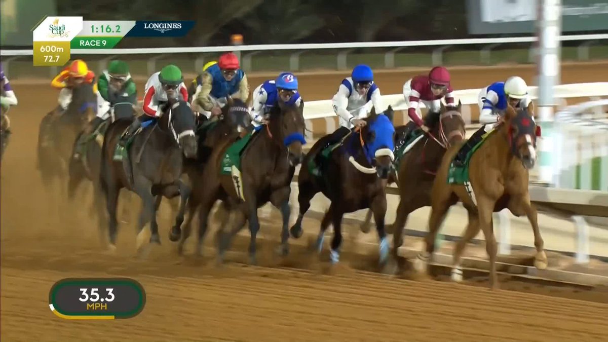 An international superstar! 🤩 FOREVER YOUNG #フォーエバーヤング retains his Saudi Cup crown, fending off Nysos to go back-to-back in Riyadh! 🏆 #競馬 netkeiba The Saudi Cup 🇯🇵