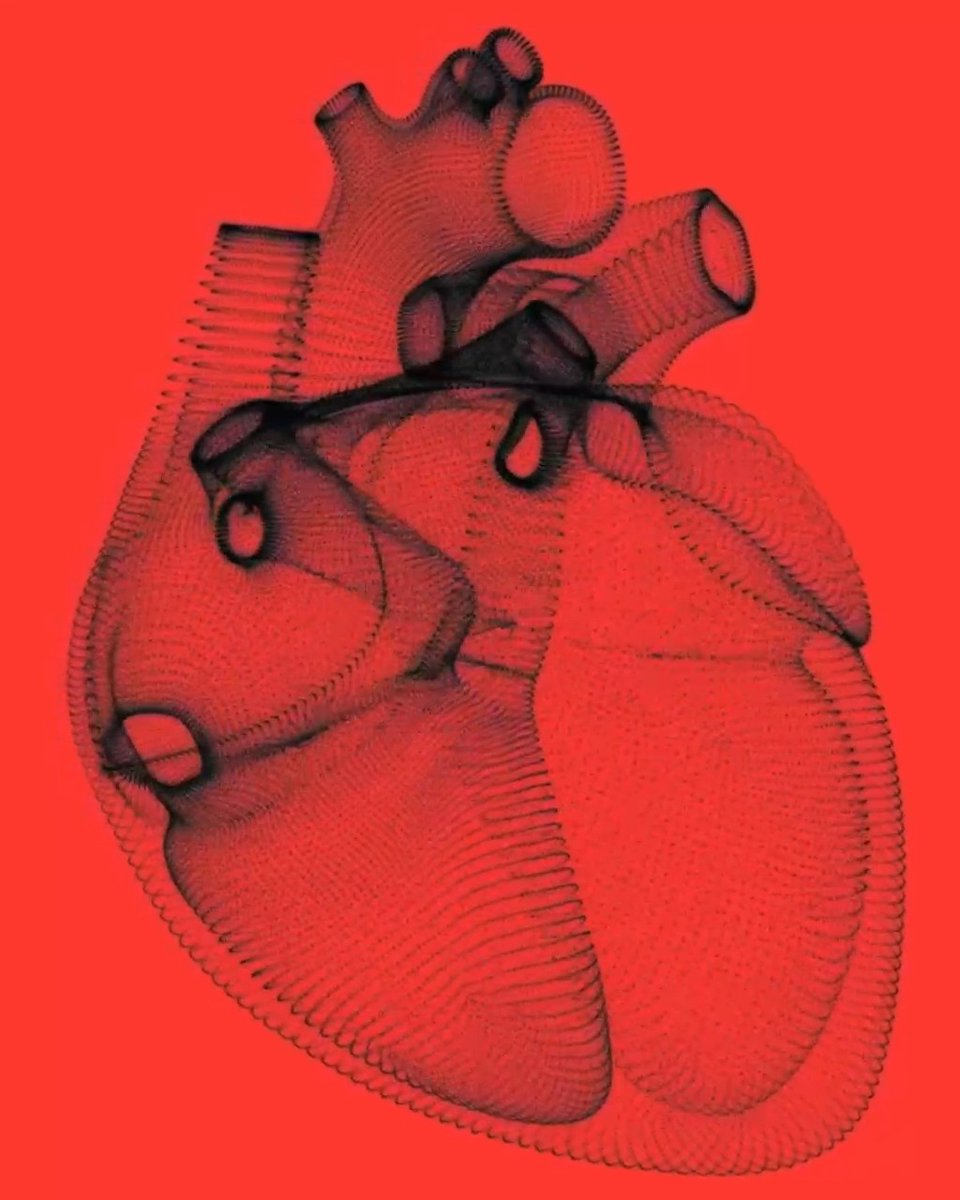 The heartbeat and other bodily processes play a surprising role in shaping perception and cognition. (From the archive)