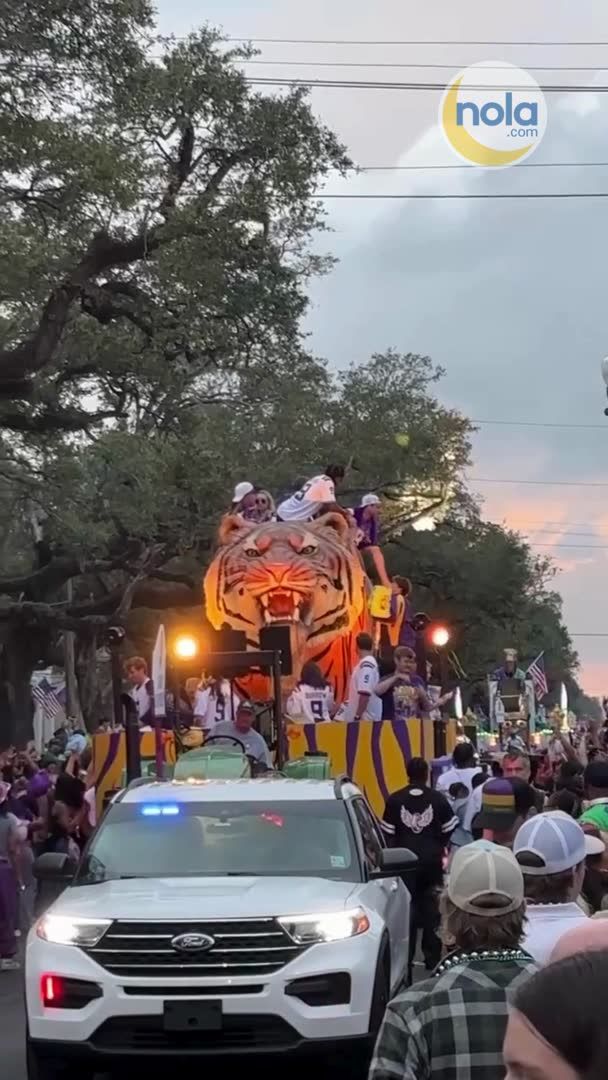 This year, the super krewe's parade includes LSU football coach Lane Kiffin, Mardi Gras expert Arthur Hardy, and musicians Blake Shelton and Gwen Stefani.