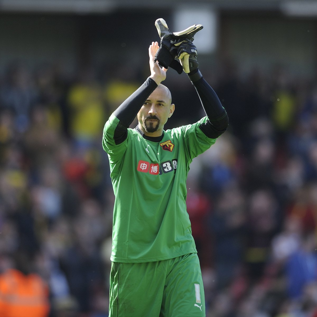 Happy Birthday, Heurelho Gomes! 🇧🇷🐝 A top keeper. A modern-day Watford legend. Signed on a free and gave us some of the greatest moments of the Pozzo era. But here’s the question… 👀 Is Gomes the best Watford signing under the Pozzos? 🤔 #Watfordfc