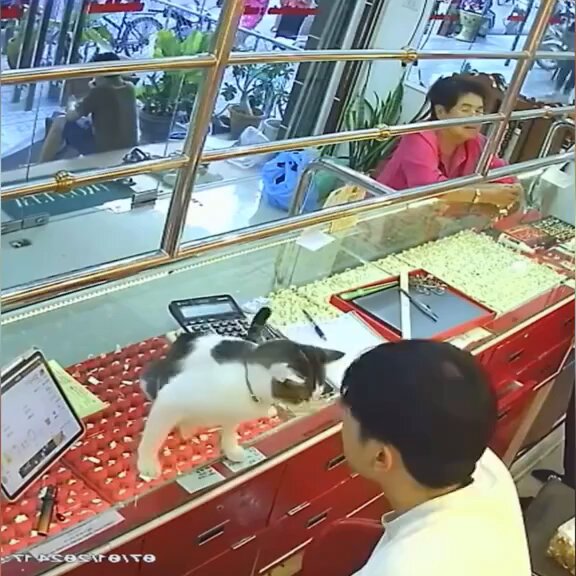 They had no idea they were being watched... and honestly, neither did we!