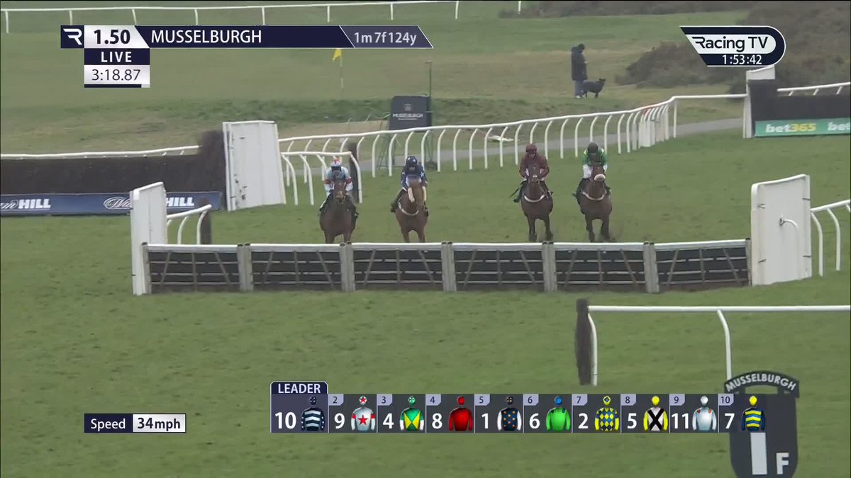 🚨 Shocker: FANTASY WORLD the 30-100f bought for 600,000gns gets stuffed 15 lengths on debut at Musselburgh. 🤯 Do you think he has a future over Hurdles for Nicky Henderson?