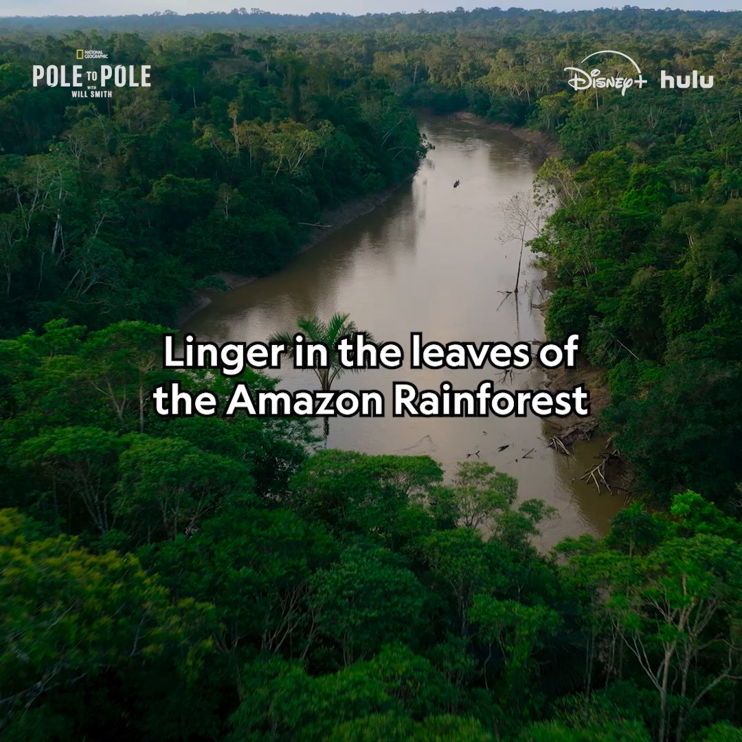 Take in the sights and sounds of the Amazon. #PoleToPole with Will Smith is now streaming on Disney+ and Hulu.