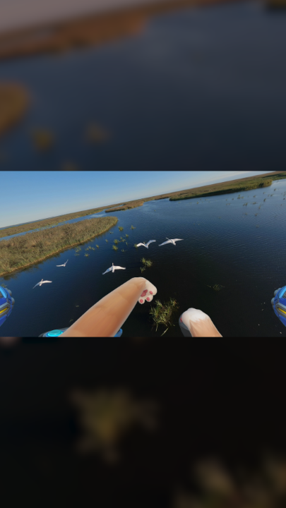 POV: You’re a cat with a jetpack 🐱🚀
