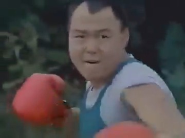 This 1992 Street Fighter II TV series from Korea was completely unlicensed. Made by Seoul Film Productions It features the entire Street Fighter cast played by Korean actors And it's amazing!
