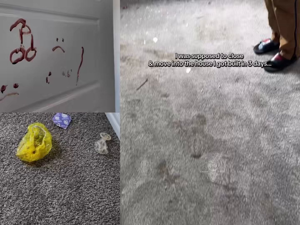 She finally built her dream home after years of hard work... and was set to move in it in 3 days. But a group of teens kicked in the front door, smashed several toilets, completely trashed the interior, drew a giant dick on one door using actual blood and left used condoms all over the floor.