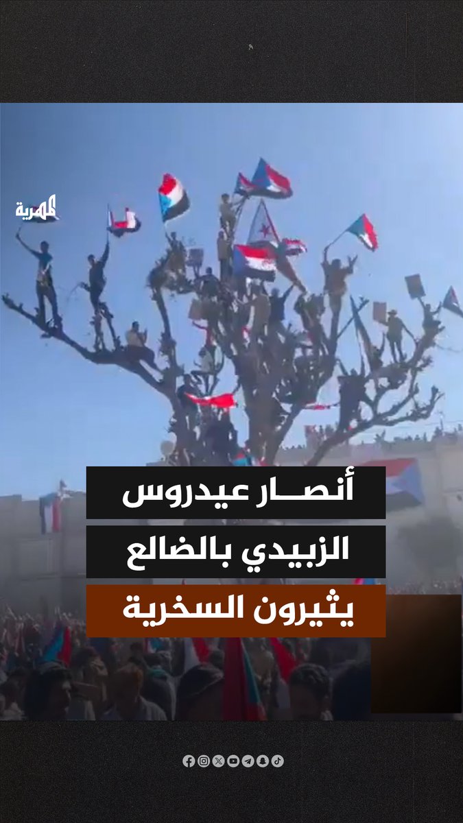 أثار أنصار عيدروس الزبيدي في محافظة الضالع موجة من السخرية والتهكم، بعد صعودهم إحدى الأشجار خلال مظاهرة تطالب بالانفصال.