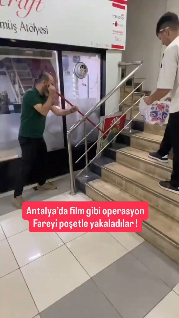 Antalya'da film gibi operasyon: Fareyi poşetle yakaladılar!
