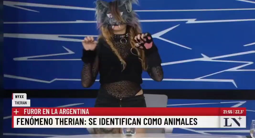 "Estudio PSICOLOGÍA y me percibo como un gato negro" jajajaj Cierren la facultad de psicología urgentemente, es una estafa.