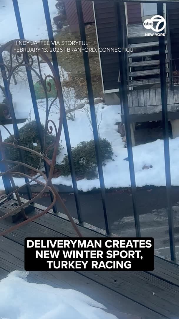 Wild turkeys were caught on camera hilariously terrorizing a UPS driver trying to make deliveries in Connecticut. The driver was seen running from door to door to dodge the birds and forming plans to avoid them while in his truck. “Ya’ll better back up,” he yells at them while taking cover in his UPS truck at one point in the video. “Jesus Christ. I’m 40-years-old, I can’t deal with this,” he says, before making another run for it. “I thought I heard the neighbors fighting so I went to look out the window and realized it was the delivery driver fighting with the turkeys,” said Hindy Jaffee, a Branford resident who filmed the video. “The turkeys always drive everyone [crazy] in our neighborhood, but usually cars and creating traffic. I have never seen them chase a person, it was hilarious. I heard him say they jumped in his truck,” she told Storyful.