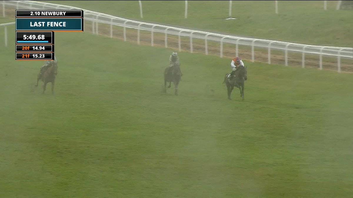 Can Haiti Coluers win the Cheltenham Festival Gold Cup? 🏆