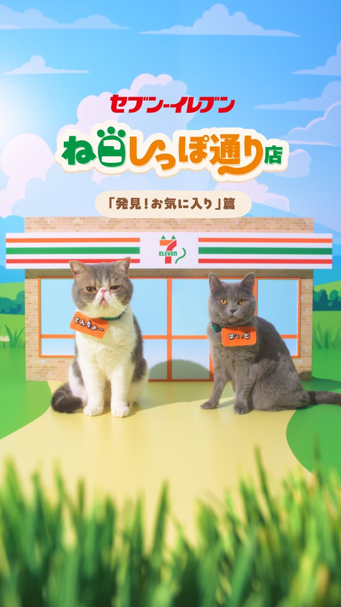 ╭━━━━━━━━━━━╮ ねこしっぽ通り店🐾 「発見!お気に入り」篇 ╰v━━━━━━━━━━╯ 🐈🐈 お気に入り商品について話す"ばいと"。 "てんちょー"が考える 接客への深~い向き合い方が知れるかも…❓