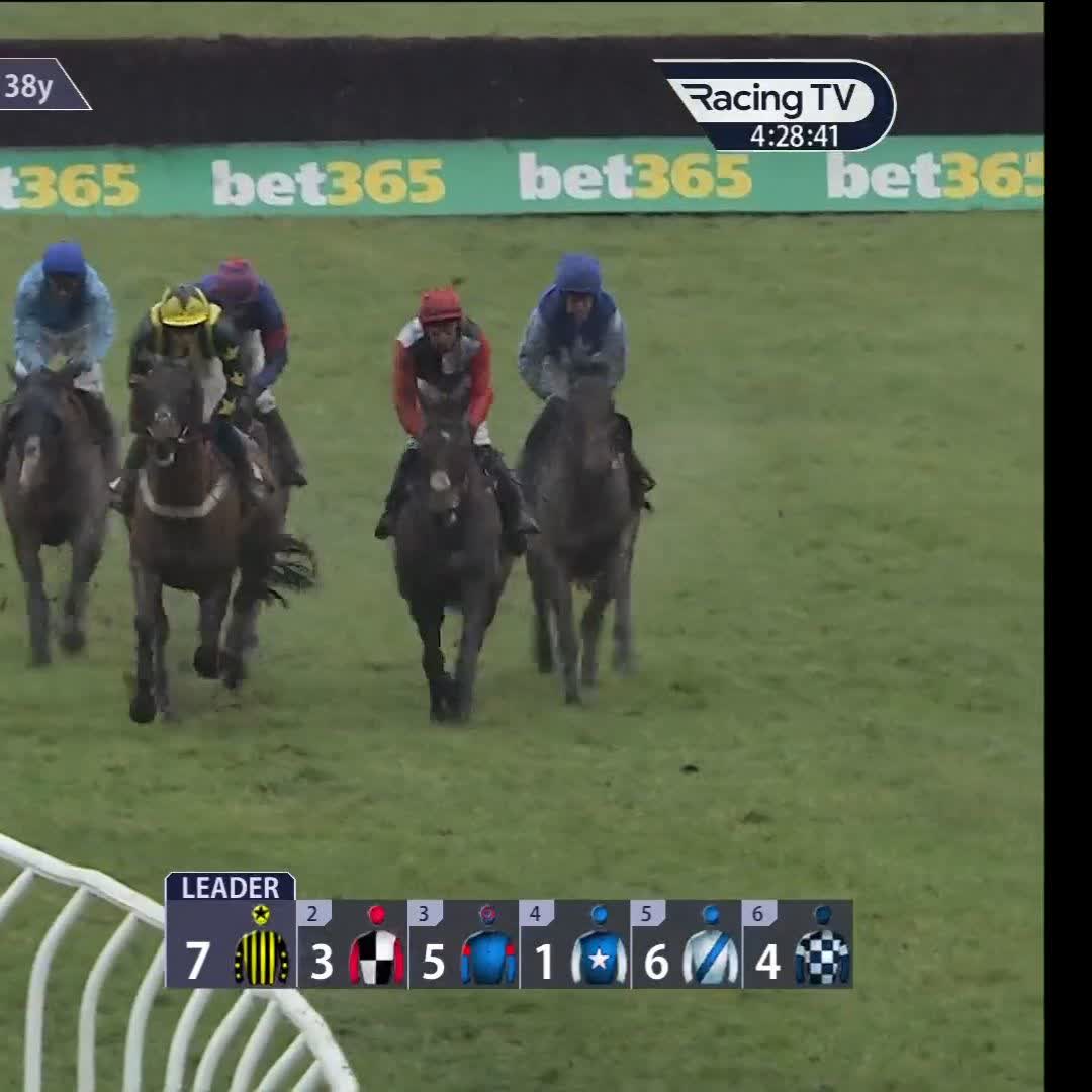 【海外競馬】 劇的なリカバリー。 🏴スコットランドのマッセルバラ競馬場にて。 🎥 Racing TV