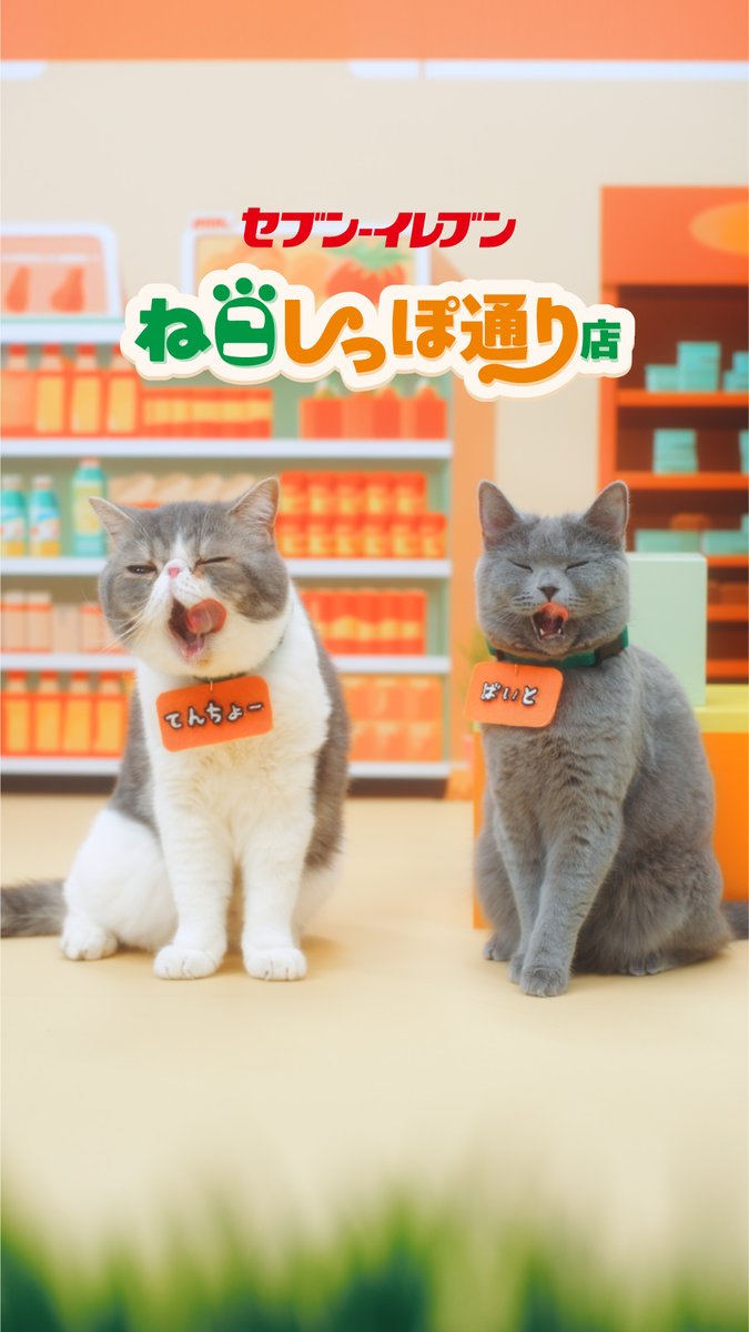 ╭━━━━━━━━━━━╮ ねこしっぽ通り店🐾 猫の日限定の 商品をご紹介ニャ ╰v━━━━━━━━━━╯ 🐈🐈 動画を見てニャーー😼💖