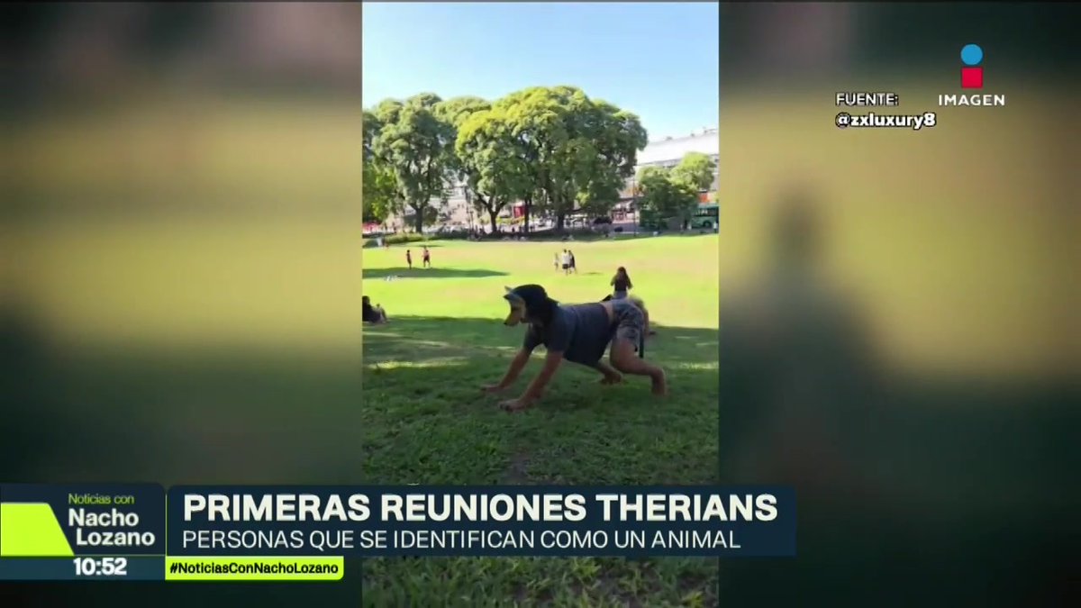 En los últimos días en #Argentina y #Uruguay se han llevado a cabo las primeras “juntadas Therian” y están por llegar a #CDMX. Este movimiento convocó para el viernes su primera convivencia masiva en la #UNAM. ¿De qué se trata? Aquí les cuento: