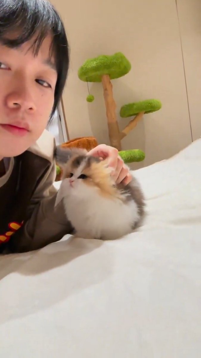 Lovely cat 😽❤️