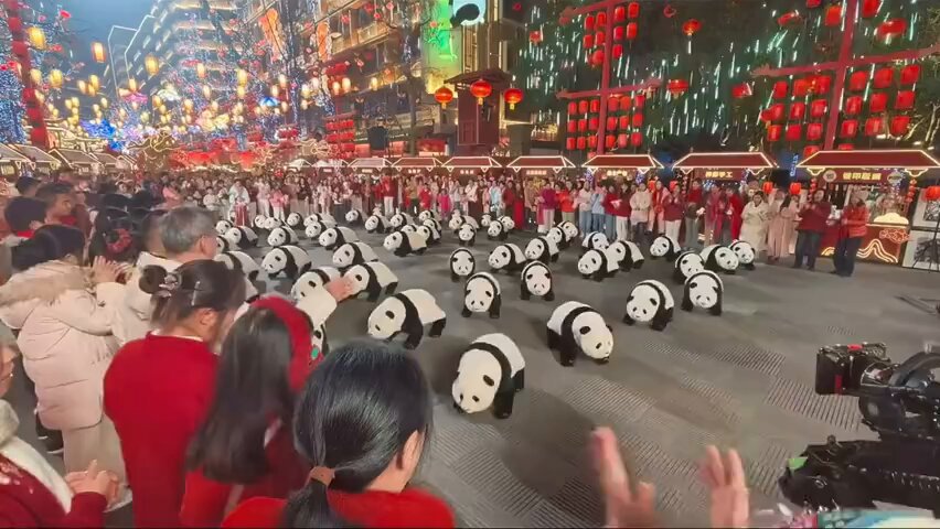中国の正月ってかんじだ🐼🐼🐼