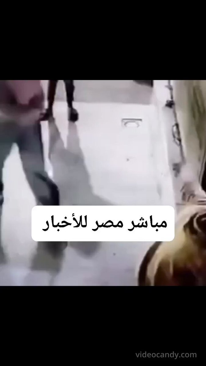 مضاربه بين دكر بط وبنت 😂 😂 😂 😂 فعلا انك ما تستحي دفيتها عنك خلاص ليش الزنط والتلكيم