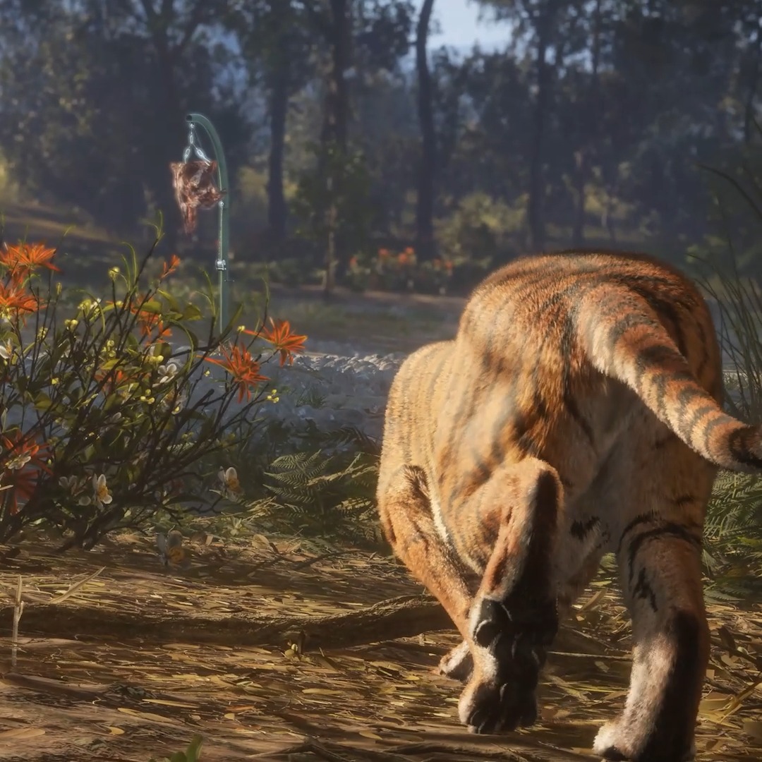 A new Game Feeder Pack is hitting all platforms on February 24th. Game Feeder Pack 2 will equip you to attract more species with higher… steaks? Read more: