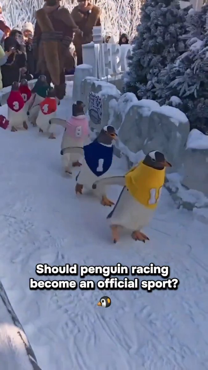 I would've lost $10 on No. 3 😅 PENGUIN RACING