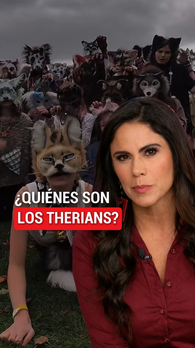 🐺📱 ¿Moda o identidad? Los therians aseguran sentir que su alma es un híbrido humano-animal. Gruñen, saltan y se mueven como depredadores. El fenómeno crece en Latinoamérica y ya hay encuentros masivos organizados en espacios públicos. #Therians #Furries #Tendencias #Juventudes